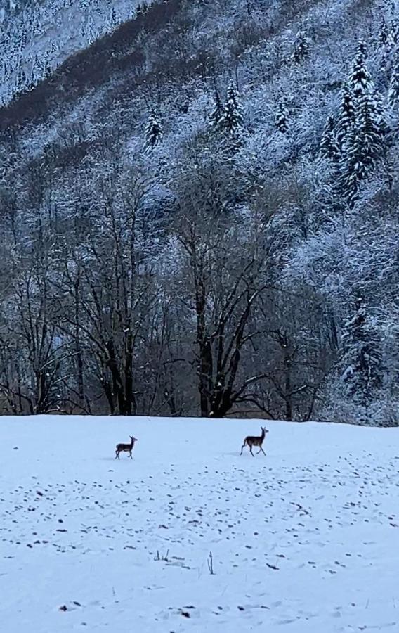 La Bergerie Marie Villa Saint-Aventin Dış mekan fotoğraf